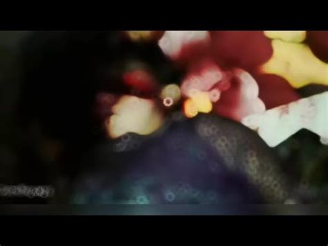 miss pacman livegore.